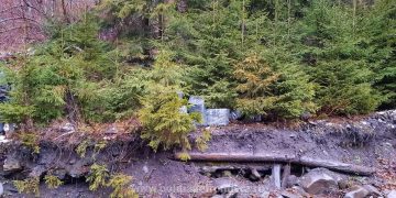 20 de colete cu aproximativ 10.000 pachete cu ţigări, descoperite printre brazi la Poienile de sub Munte