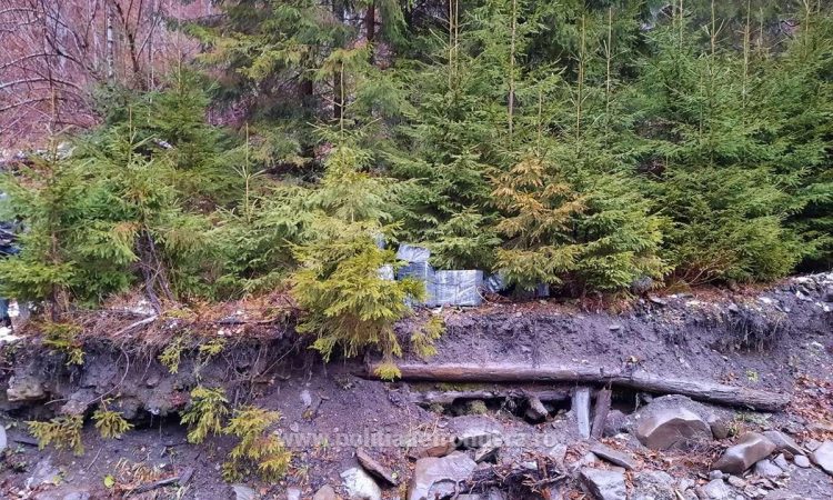 20 de colete cu aproximativ 10.000 pachete cu ţigări, descoperite printre brazi la Poienile de sub Munte