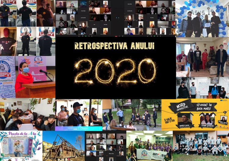 Peste 10000 de beneficiari ai proiectelor LSPV în 2020