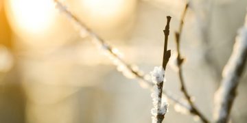 Estimările meteo pentru următoarele patru săptămâni. Vreme mai caldă decât media lunii februarie