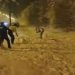 Reacţia a doi poliţişti când au văzut copii care se jucau cu bulgări de zăpadă – video