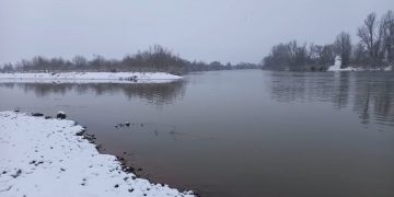 Râul Someș a fost poluat cu ape de mină – VIDEO