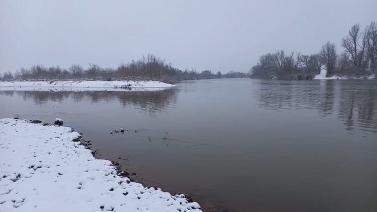 Râul Someș a fost poluat cu ape de mină – VIDEO