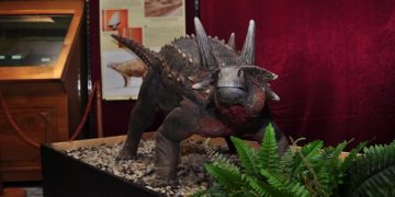 „Ultimii dinozauri din Transilvania” – expoziție organizată la Muzeul Județean de Mineralogie „Victor Gorduza”