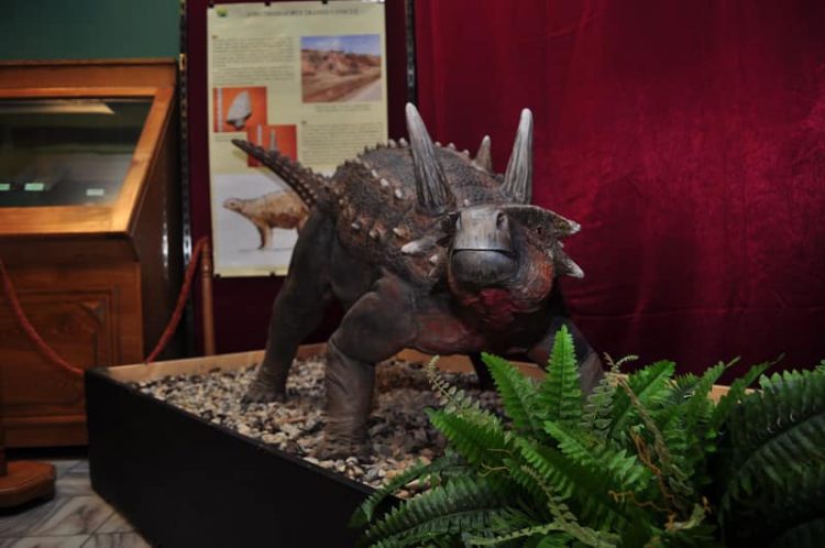 „Ultimii dinozauri din Transilvania” – expoziție organizată la Muzeul Județean de Mineralogie „Victor Gorduza”