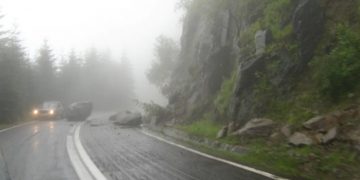 Accident ingrozitor | O femeie a decedat în timp ce se afla în propria mașină, fiind strivită de un copac doborât de vânt