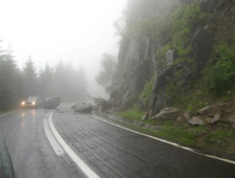 Accident ingrozitor | O femeie a decedat în timp ce se afla în propria mașină, fiind strivită de un copac doborât de vânt