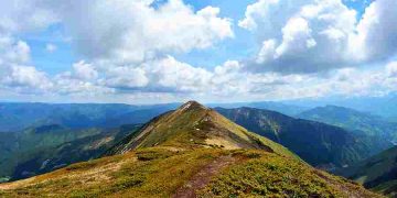 Primarii PNL din Maramureș se luptă pe suprafețele de pășune