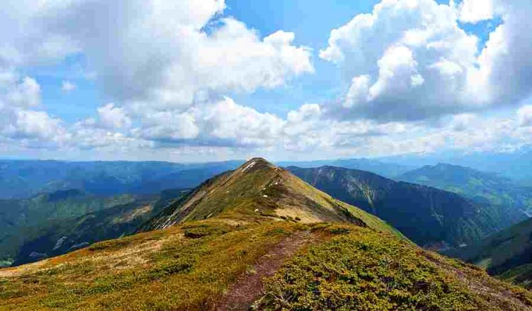 Primarii PNL din Maramureș se luptă pe suprafețele de pășune