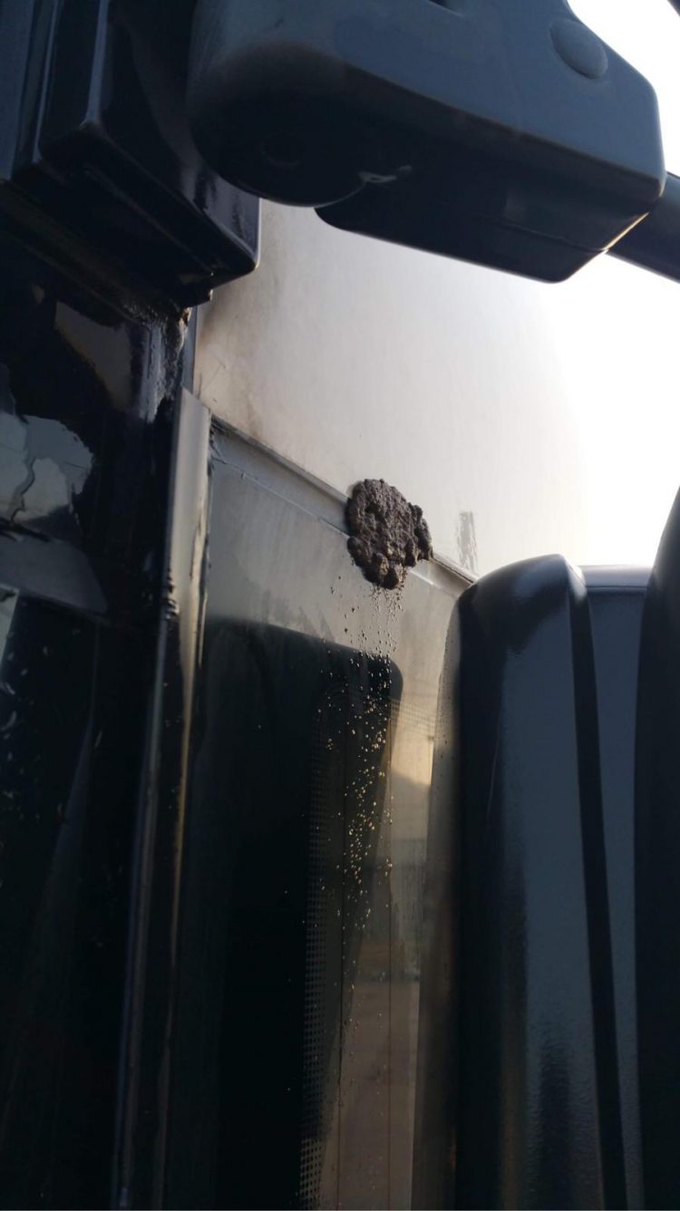 FOTO/VIDEO: Autobuzele URBIS, atacate zilnic în zona Cuprom. Autoritățile stau cu mâinile în sân!