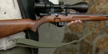 Cruzime de nedescris. Câine ucis prin împușcare în Iadăra