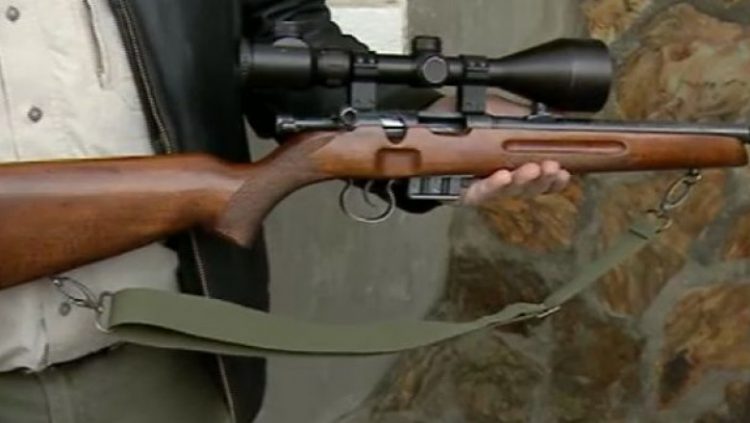 Cruzime de nedescris. Câine ucis prin împușcare în Iadăra