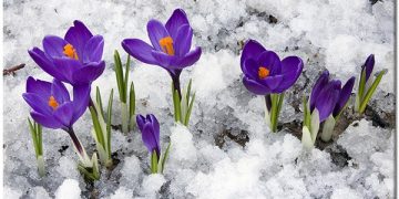 Când se strică vremea? Meteorologii anunţă lapoviţă şi ninsori