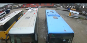 VIDEO: Animal călcat intenționat de un autoturism într-o parcare din Baia Mare