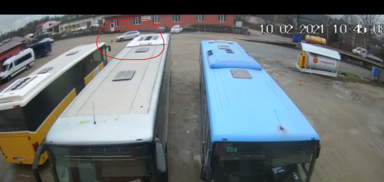 VIDEO: Animal călcat intenționat de un autoturism într-o parcare din Baia Mare