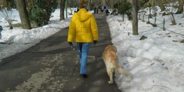 Atenție, proprietari de câini! Poliţia Animalelor, în acţiune prin parcuri