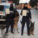 Doi agenți ai Grupei Canine din cadrul IPJ Maramureș, felicitări din partea Inspectoratului General al Poliției Române