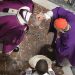 Miercurea Cenușii. Papa Francisc: Dumnezeu a venit la noi pentru ca noi să ne întoarcem la El