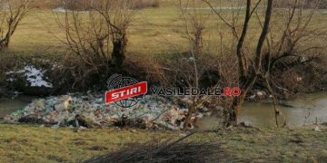 FOTO: PET-URI, GUNOAIE ŞI CRENGI BLOCHEAZĂ RONIŞOARA ÎN ZONA MUZEULUI SATULUI DIN SIGHETU MARMAŢIEI