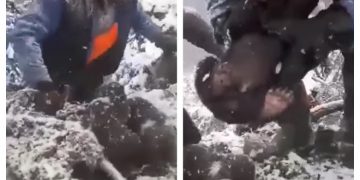 Pui de urs scoşi din bârlog şi aruncaţi în zăpadă! Polițiștii nu exclud o legătură cu piața neagră din Rusia