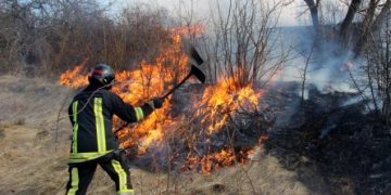 Ce riscă cei care dau foc intenționat vegetaţiei. Amenzile sunt uriașe