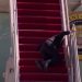 Joe Biden s-a împiedicat și a căzut în timp ce urca în avionul Air Force One