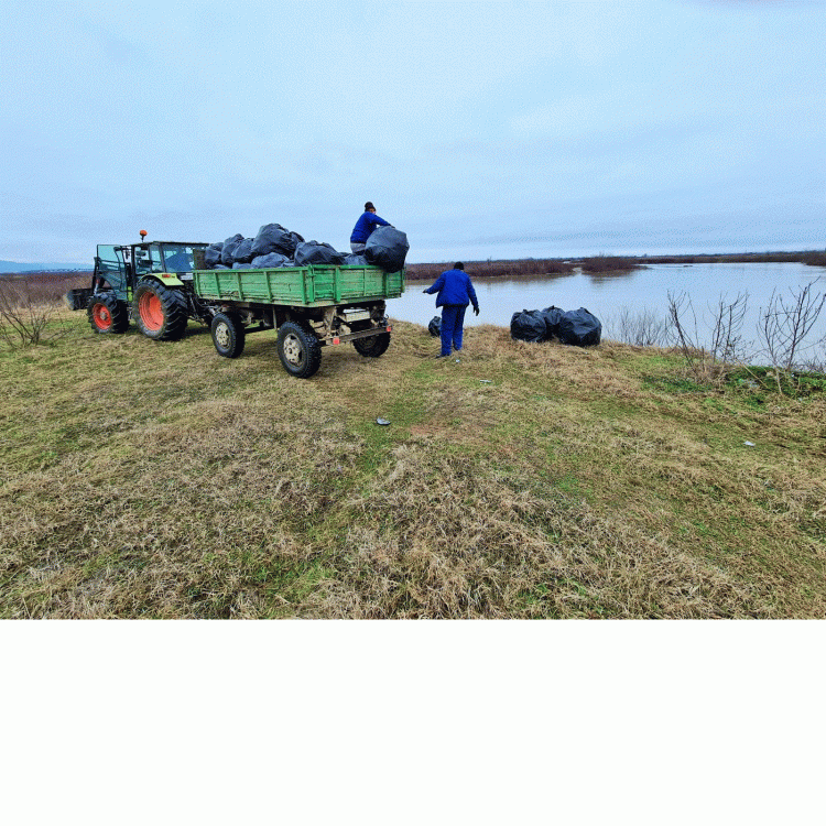 Ziua Mondială a Apei – Acțiuni de igienizare pe Lăpuș, Someș, Craica, Rona, Iza