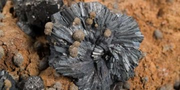 Colecție specială la Muzeul Județean de Mineralogie din Baia Mare
