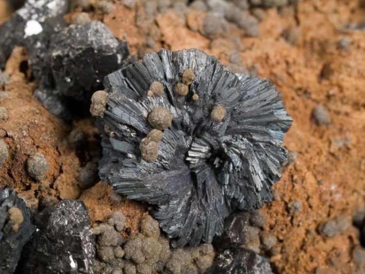 Colecție specială la Muzeul Județean de Mineralogie din Baia Mare