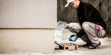 În Baia Mare începe deratizarea! Mare atenție la animalele de companie