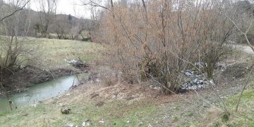 Curăţenie generală pe râul Ronişoara – FOTO
