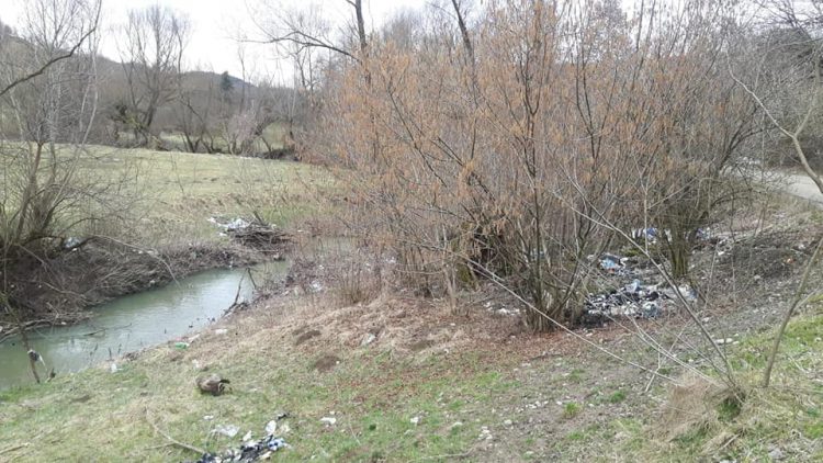 Curăţenie generală pe râul Ronişoara – FOTO