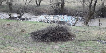 Gunoaie, PET-uri, deşeuri menajere pe râul Ronişoara. Ce spune Garda de Mediu Maramureş – FOTO