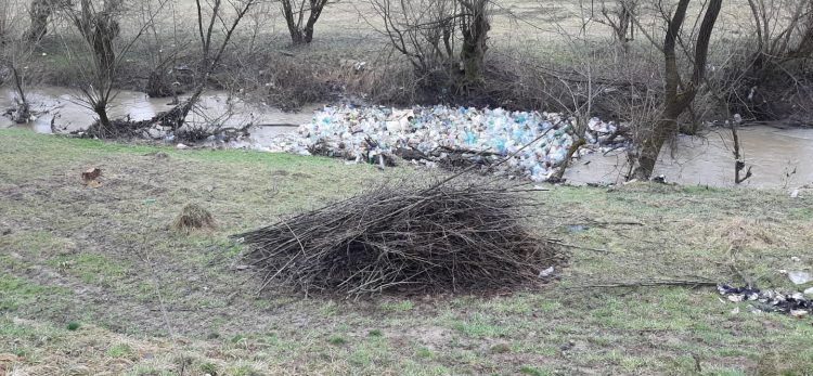 Gunoaie, PET-uri, deşeuri menajere pe râul Ronişoara. Ce spune Garda de Mediu Maramureş – FOTO