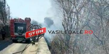 Incendiu de vegetație în Sighetu Marmației