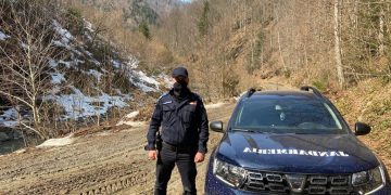 Pentru a marca aniversarea a 171 de ani de la înfiinţarea Jandarmeriei Române, jandarmii maramureşeni vor planta 171 de stejari