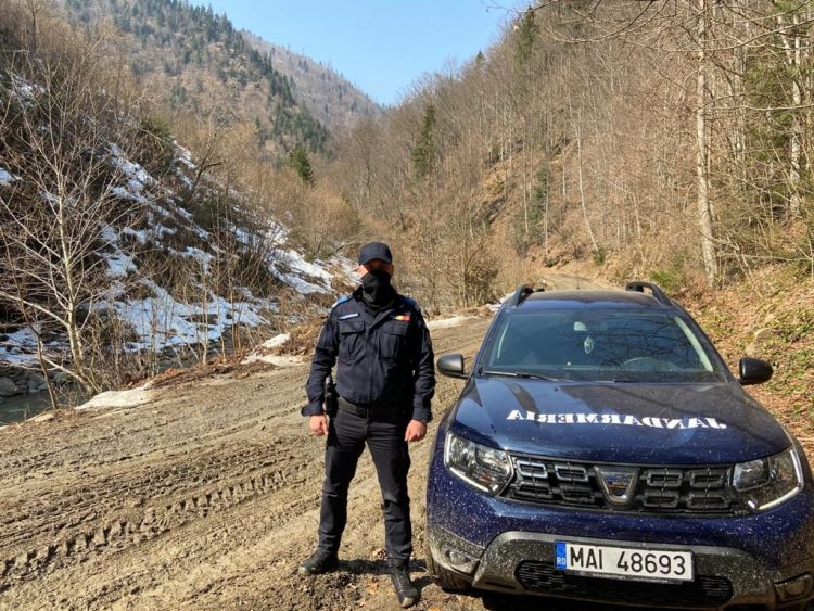 Pentru a marca aniversarea a 171 de ani de la înfiinţarea Jandarmeriei Române, jandarmii maramureşeni vor planta 171 de stejari