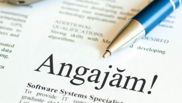 AJOFM anunță în Maramureș sunt peste 400 de locuri de muncă vacante