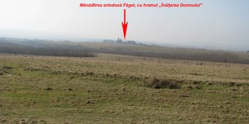 CERCETĂRI ARHEOLOGICE DE SUPRAFAȚĂ