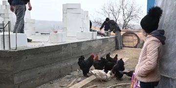 În timp ce alţii ridică biserici, preotul Dan Damaschin a început construcţia unei clinici în care mamele să fie tratate gratis