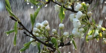 Prognoza meteo pe două săptămâni. Primăvară capricioasă în zilele ce urmează!