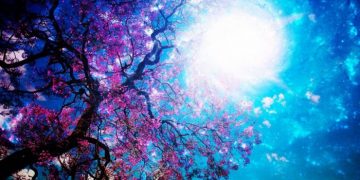 Echinocţiul de primăvară 2021. Începutul primăverii astronomice