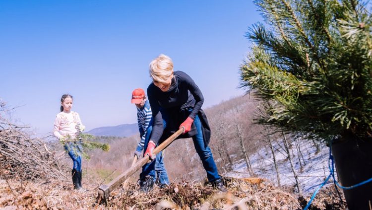 Raluca Turcan îşi asumă greşeala şi solicită să fie amendată pentru nepurtarea măștii