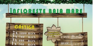 Premii frumoase vei câștiga, dacă grădina ți-o vei amenaja!