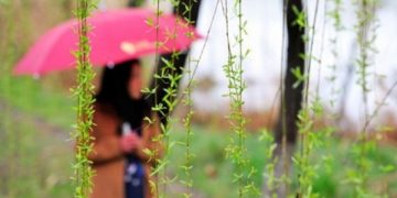 Temperaturi scăzute şi ploi, până la finele lui aprilie. Cum va fi vremea de Paşte