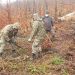 Arbori plantaţi în Strâmbu Băiuţ de militarii Batalionului 612 Artilerie Antitanc Maramureş