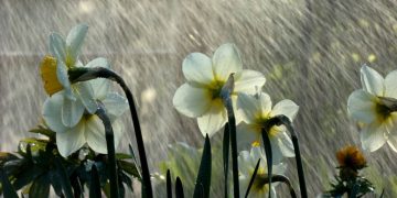 Se strică vremea în Maramureş! Informare de ploi şi vânt emisă de ANM