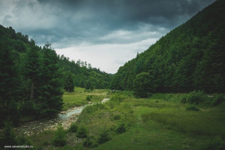 Băiuțul poate deveni destinație de ecoturism