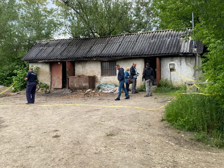 CRIMĂ ORIBILĂ LA O PĂLINCIE DIN ŞOMCUTA MARE. CRIMINALUL, GĂSIT ȘI REȚINUT