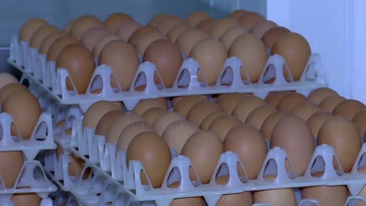 Peste 260 de mii de ouă contaminate cu Salmonella, descoperite de ANSVSA